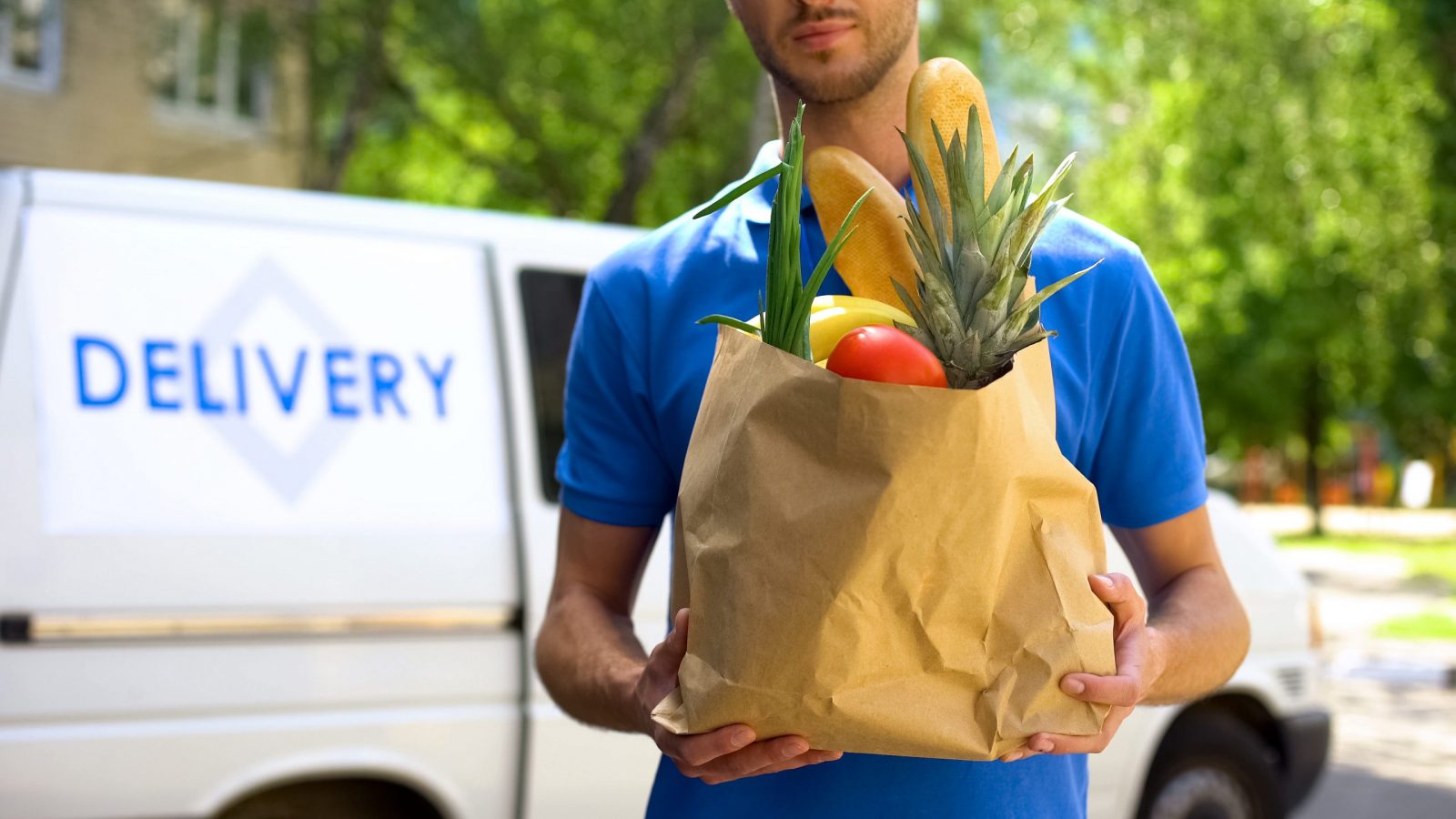 Food delivery service, male worker holding grocery bag, express