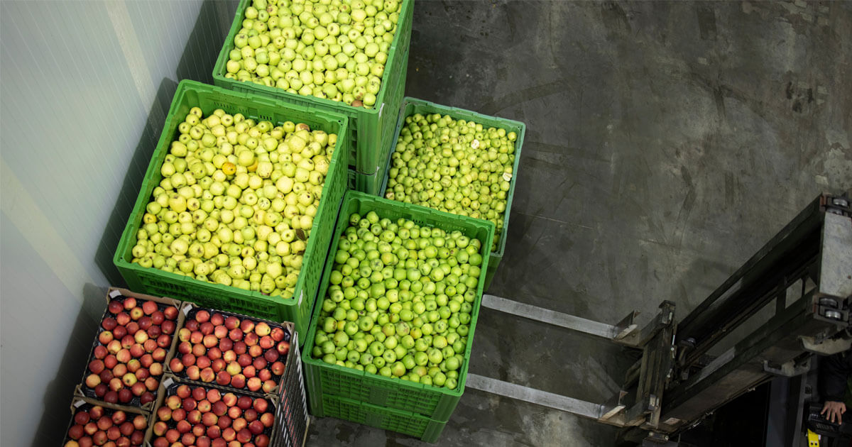 Overhead view of vibrant green apples and red apples neatly packed in crates at an Agri-Food facility, with a forklift nearby indicating movement and material handling.