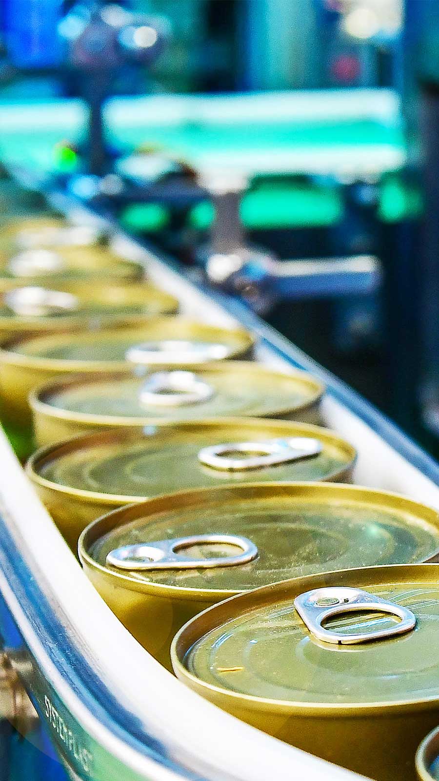Manufacturing operation of canned food